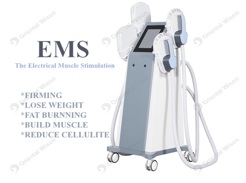 Đào tạo EMS hoạt động như thế nào?